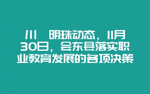川滇明珠动态，11月30日，会东县落实职业教育发展的各项决策部署-会东网