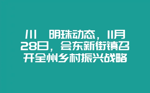 川滇明珠动态，11月28日，会东新街镇召开全州乡村振兴战略-会东网