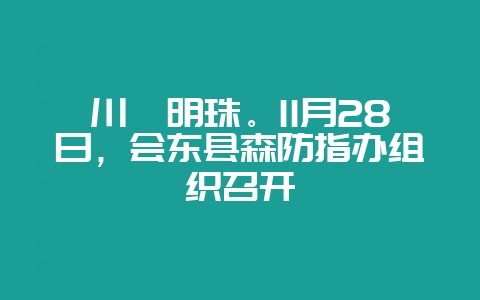川滇明珠。11月28日，会东县森防指办组织召开-会东网