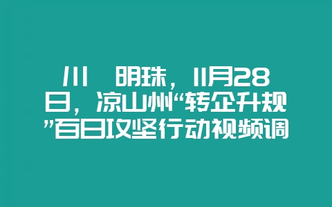 川滇明珠，11月28日，凉山州“转企升规”百日攻坚行动视频调度会-会东网