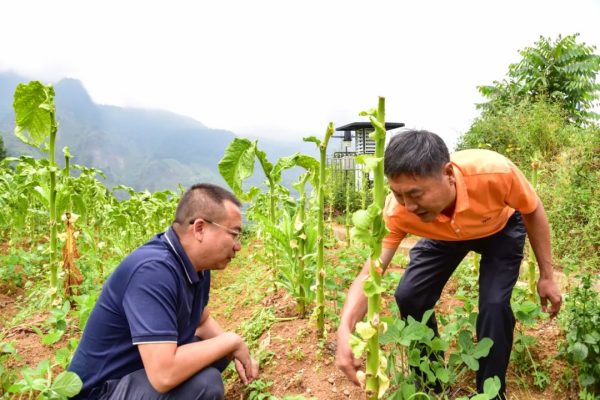 会东网资讯，会东县疫情最新消息-会东网
