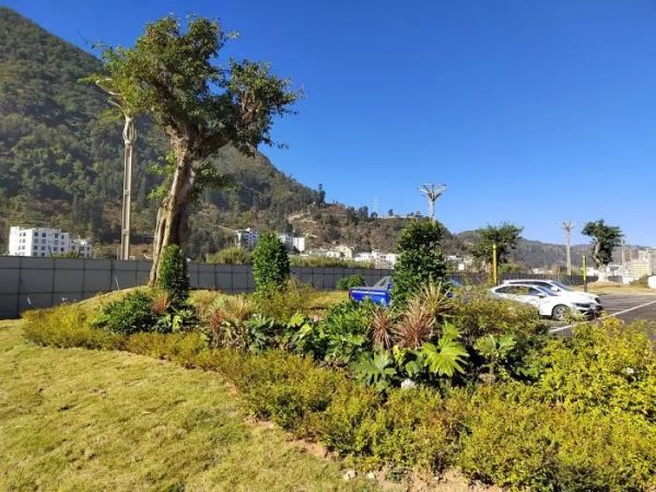 川滇明珠动态，獭猫山公园作为会东县重大项目之一插图3