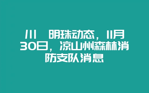 川滇明珠动态，11月30日，凉山州森林消防支队消息-会东网