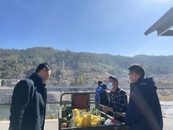 会东网在线，会东门户网-会东网