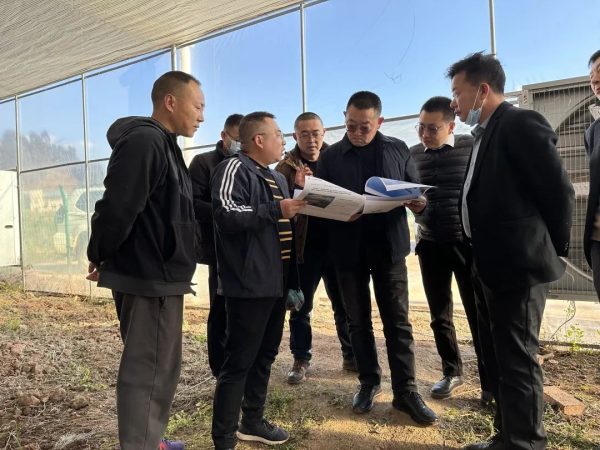 会东网，1月8日，州烟草专卖局（公司）到会东县调研-会东网