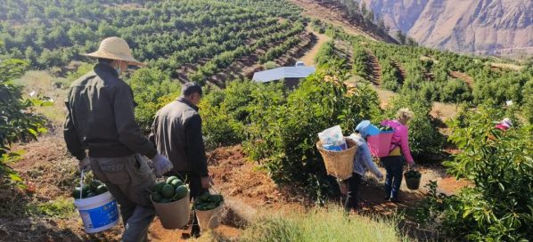 会东县淌塘镇中坪子村，会东县淌塘镇-会东网