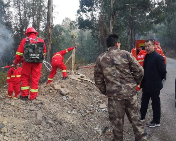 会东网在线，会东金沙街道消息-会东网