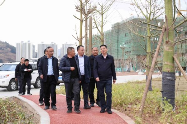 会东县城及周边调研重大项目建设推进情况插图1