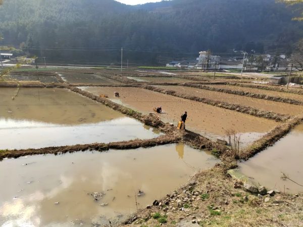 会东县各地按下春耕备耕“快进键”-会东网