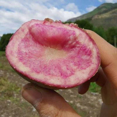 会东小吃七彩洋芋（会东土特产七彩洋芋）插图2