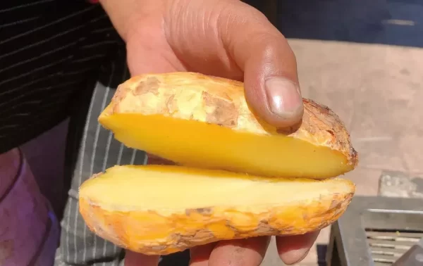 会东土特产(会东特产有啥子)插图1 会东土特产(会东特产有啥子)插图1