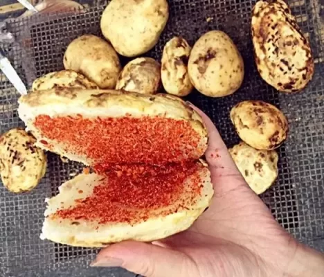 探索美食盛宴——会东首届黑山羊美食节插图2