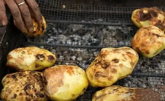 土豆和洋芋有什么区别和功效（ 土豆和洋芋有什么区别）？插图