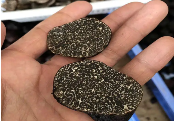 会东县土特产介绍（会东县特产一览）？插图5