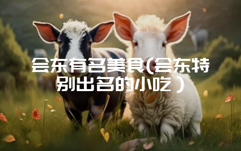会东有名美食(会东特别出名的小吃）-会东网