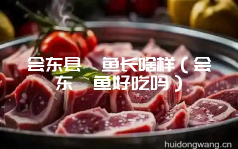 会东县鲹鱼长啥样（会东鲹鱼好吃吗）-会东网