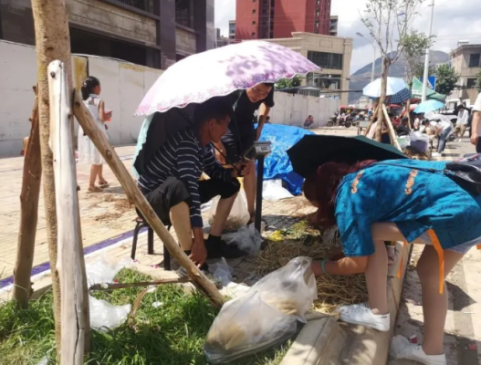 会东小吃豆腐乳（会东豆腐乳介绍）-会东网