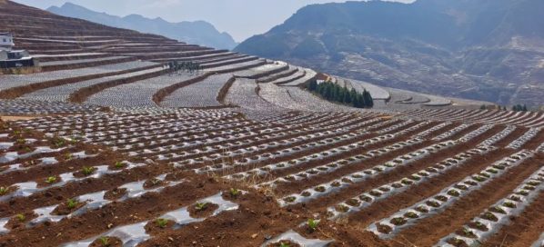 凉山州会东是贫困县吗？四川会东县很穷吗？-会东网