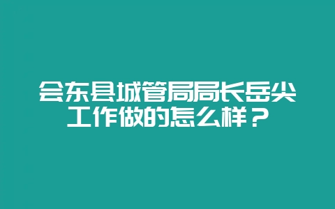 会东县城管局局长岳尖工作做的怎么样?-会东网
