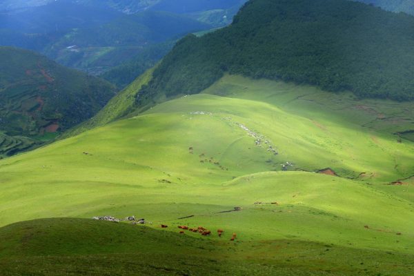 会东旅游日记：会东的热情和风景一样美！-会东网