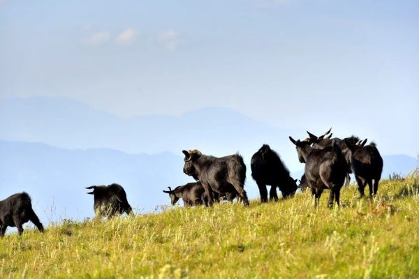 会东县三景点旅游攻略:老君峰、老君洞与姜州镇民权水库-会东网