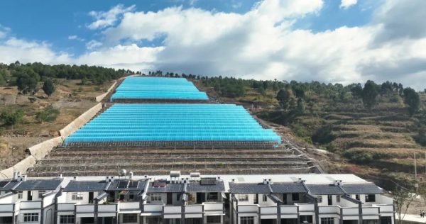 会东县鱼山蔬菜基地-会东网