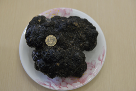 会东哪里最好完?会东县最好耍的景区?-会东网