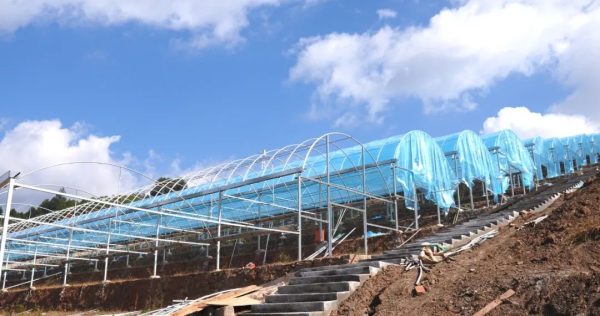 会东县现代农业产业体系助力乡村全面振兴-会东网