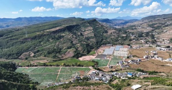 会东县现代农业产业体系助力乡村全面振兴插图2 会东县现代农业产业体系助力乡村全面振兴插图2