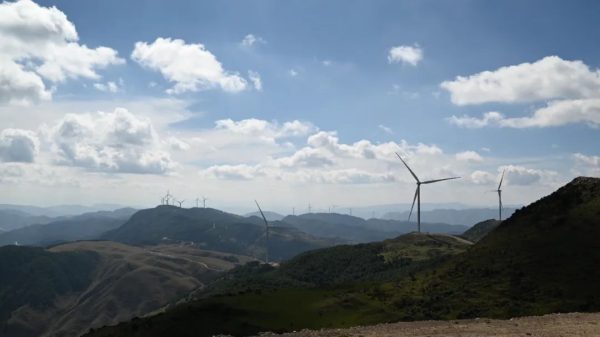 新街镇：农文旅融合发展助力乡村振兴！插图2