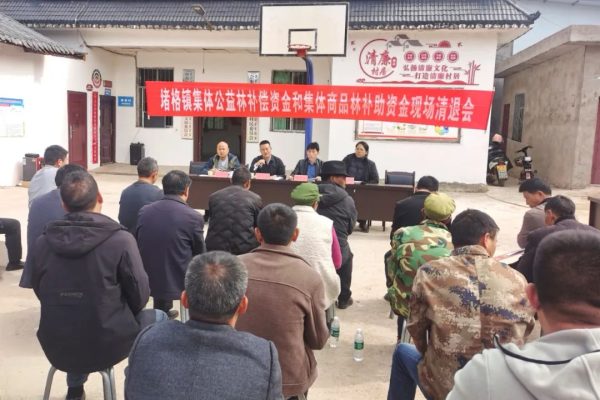 堵格镇开展集体公益林补偿资金，清退17.17万元插图