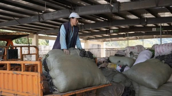 会东县烟草专卖局（分公司）积极推行废旧地膜回收再利用插图1