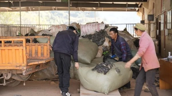 会东县顺其劳务有限公司积极拓展业务范围，提供多元化服务-会东网