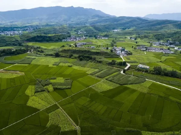 会东县姜州镇把乡村振兴战略计划！插图