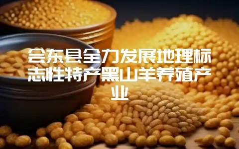 会东县全力发展地理标志性特产黑山羊养殖产业-会东网