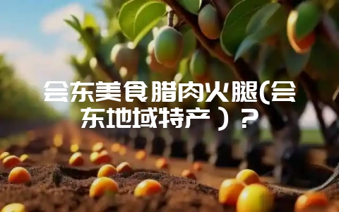 会东美食腊肉火腿(会东地域特产）？-会东网