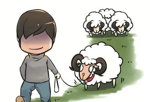 诚信、道德与法律意识：构建和谐社会的基石-会东网