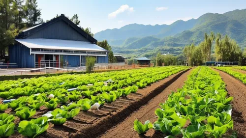 会东美华农业有限公司做什么的(美华农业业务介绍)?插图1 会东美华农业有限公司做什么的(美华农业业务介绍)?插图1