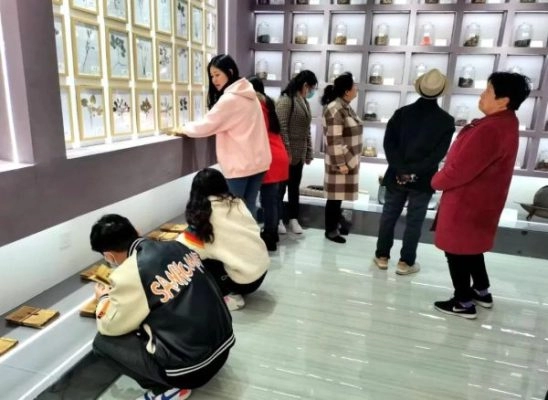 会东县：中医药康养与文化传承的和谐共生插图