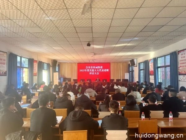 鱼城街道2023年度直选人大代表述职评议会召开插图