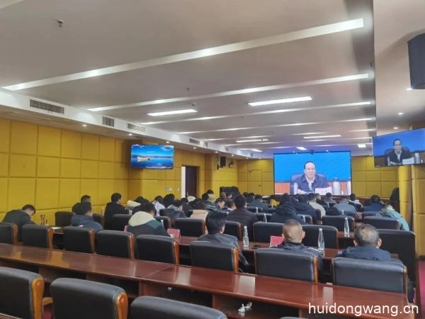 全州巩固脱贫成果“三大行动”暨农业重点项目推进插图