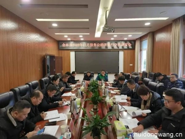会东县召开2023年12月服务业经济运行分析调度会插图