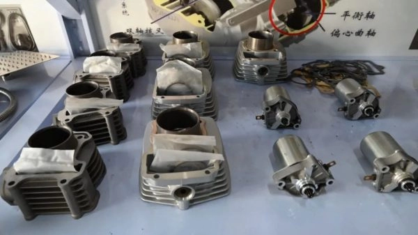 会东：小岔河特色产业园区正式投产 助力县域经济转型升级插图5