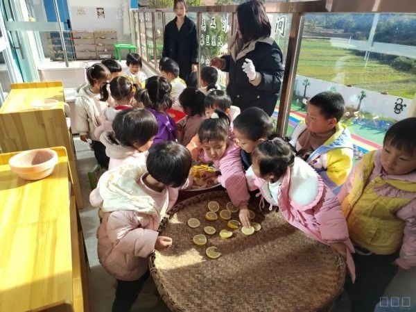 姜州镇幼儿园：以食育教育促进幼儿全面发展插图1