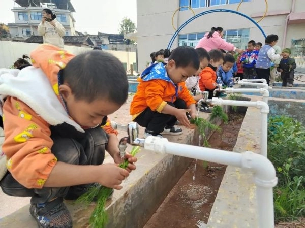 姜州镇幼儿园：以食育教育促进幼儿全面发展插图5