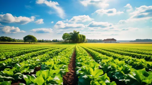 会东县洪芬种养殖专业合作社联系方式（洪芬种养殖业务介绍）？插图1