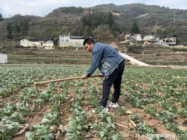 会东县：高标准农田建设助力耕地保护与乡村振兴-会东网