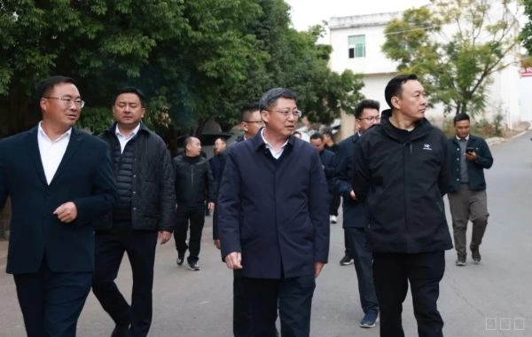 环江红深入姜州镇、金江街道调研乡村振兴示范村创建与产业园区运营工作-会东网
