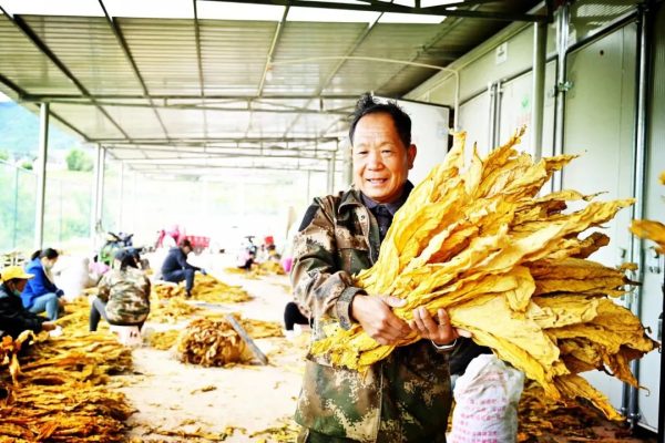 凉山会东县十大特产(盘点凉山州会东县的十大特产)?-会东网