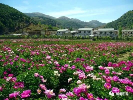 会东旅游景点有哪些地方好玩（了解会东哪些地方值得一去的景点推荐）？-会东网